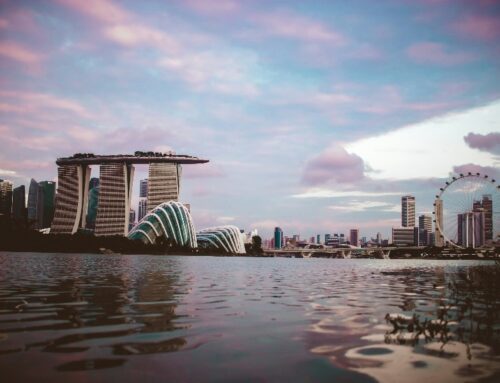 Pros and Cons of Incorporating a Variable Capital Company (VCC) in Singapore